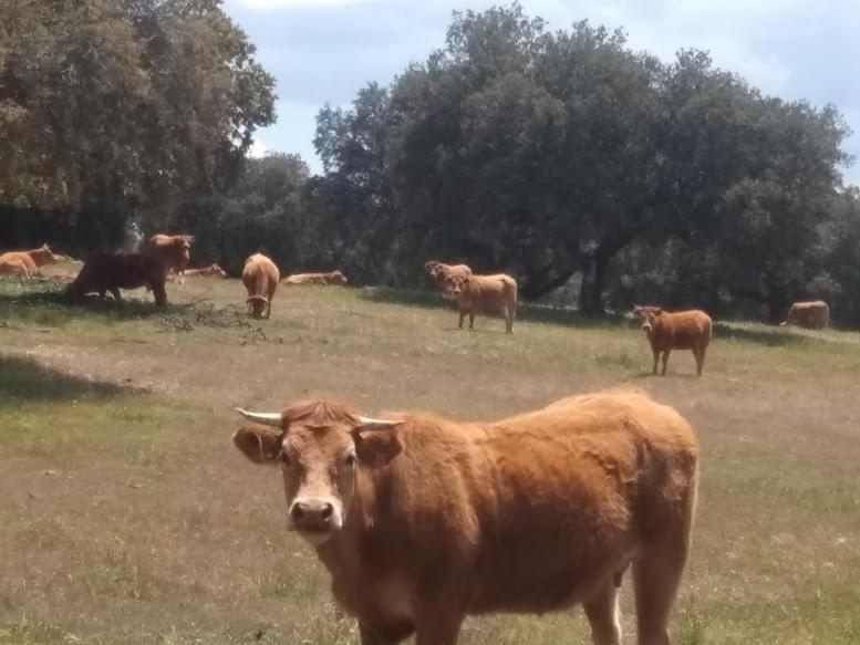 Casa Rural El Trastero De Carmelo Maello 外观 照片